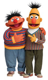 Bert & Ernie Knit Top Purple/Blue | Large